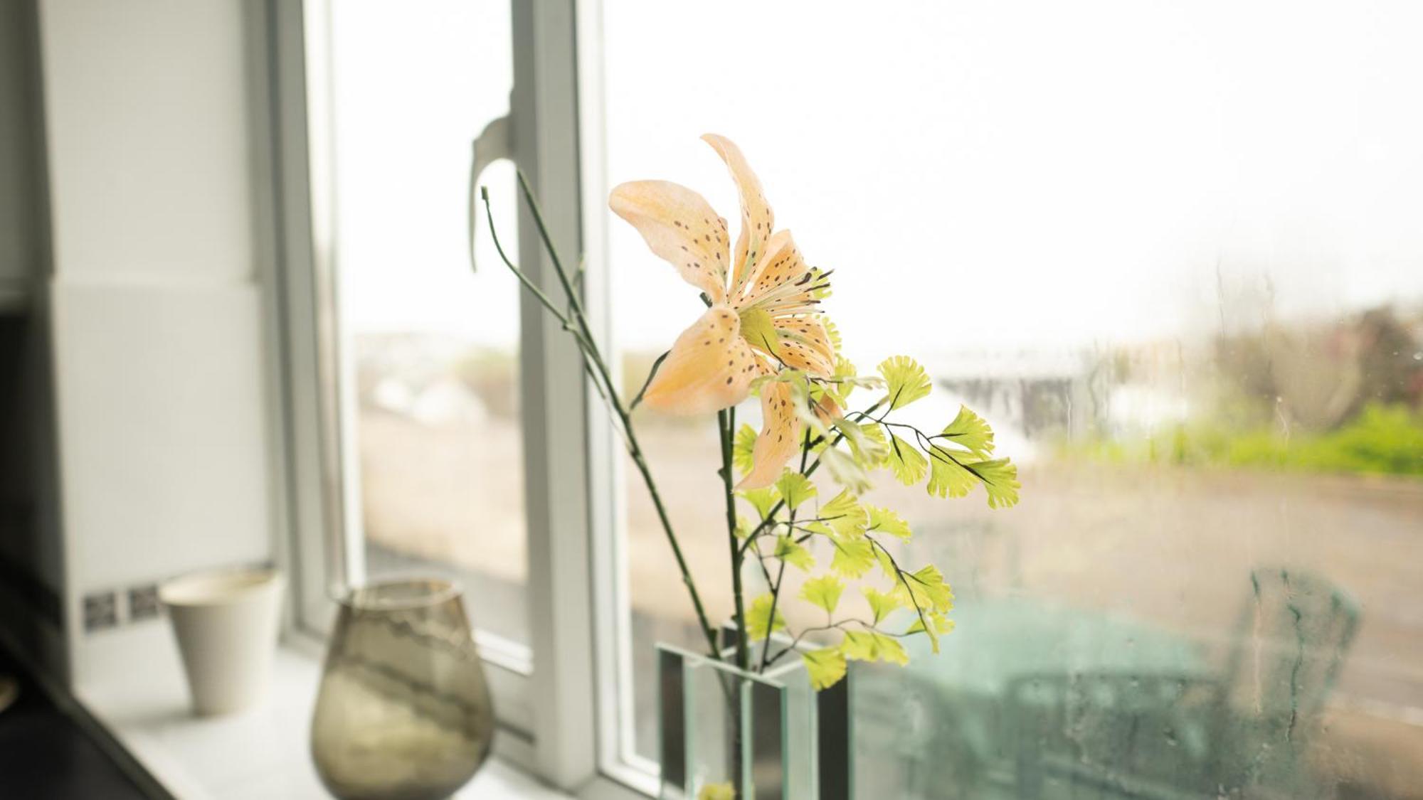 Apartment On High Street Saltdean エクステリア 写真